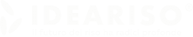 Ideariso · Il futuro del riso ha radici profonde