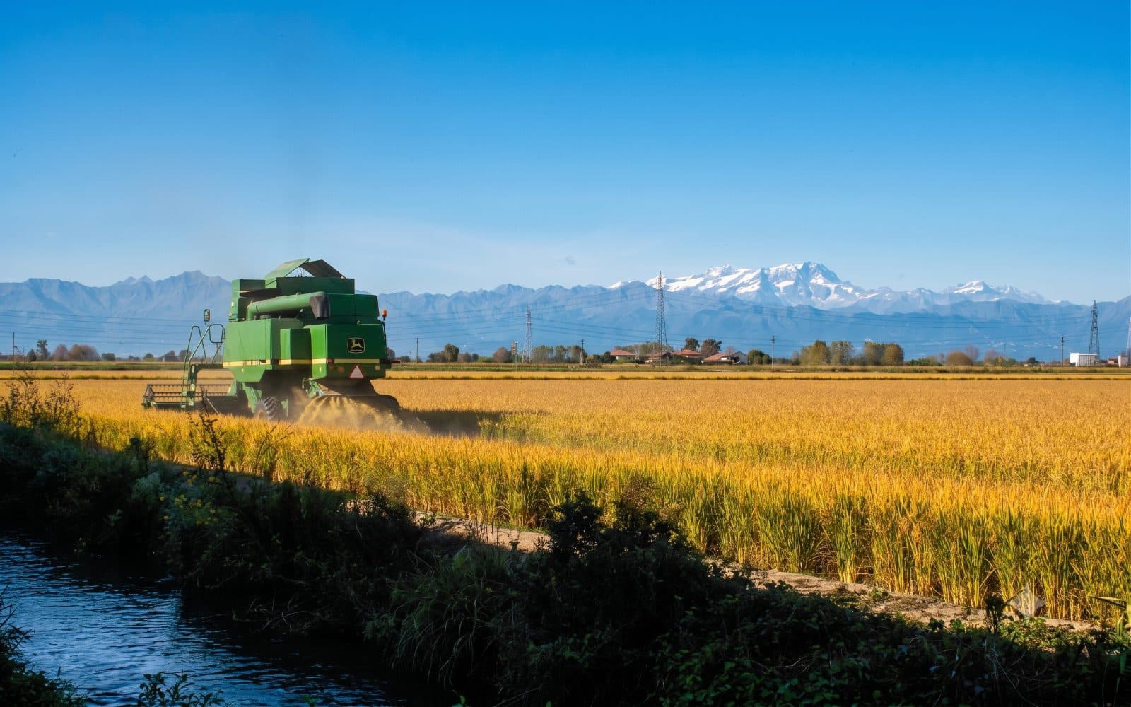 Mietitrebbia nelle risaie del Vercellese con le Alpi sullo sfondo